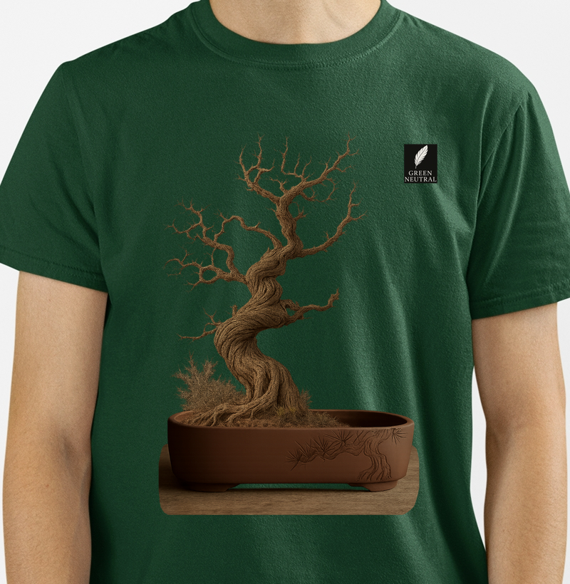 Espinosa Bonsai 