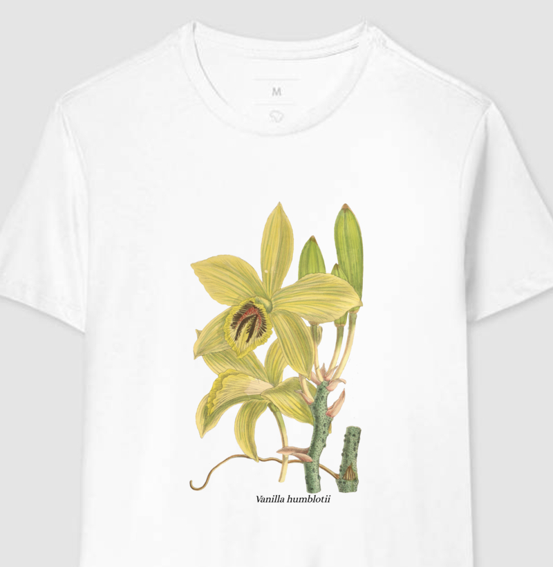 Camiseta Vanilla humblotii t-shirt