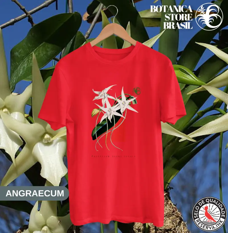 ANGRAECUM