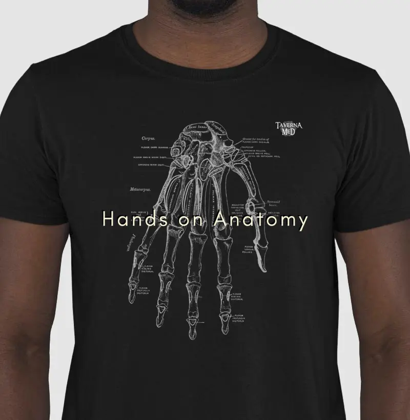 Hands on Anatomy - Midnight