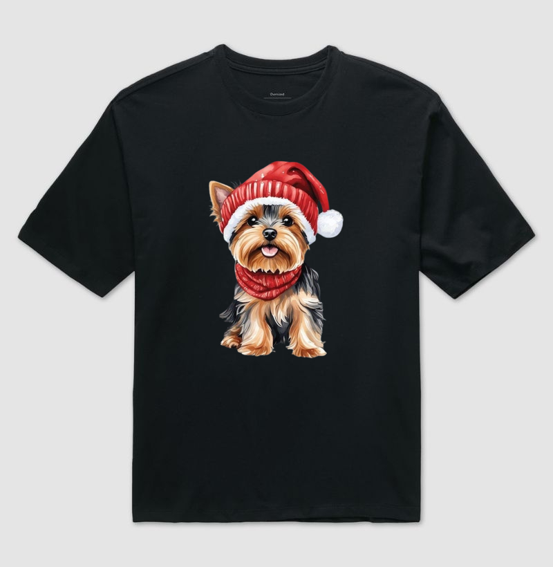 Shih Tzu Natalino