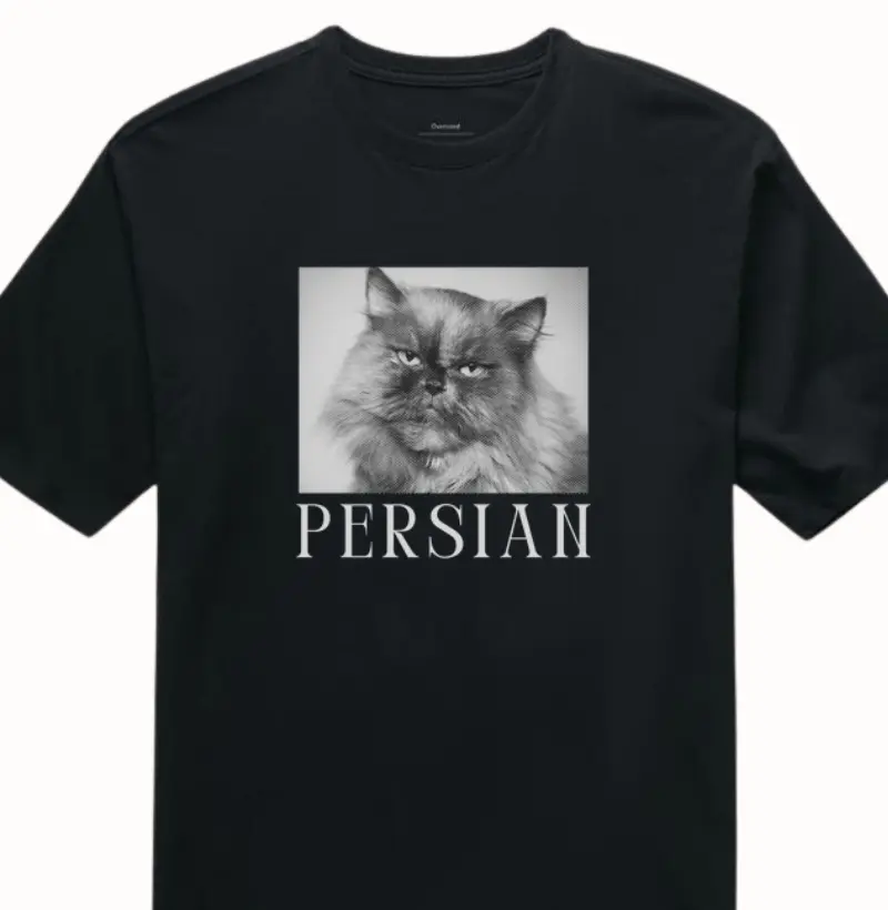 Oversized Persian