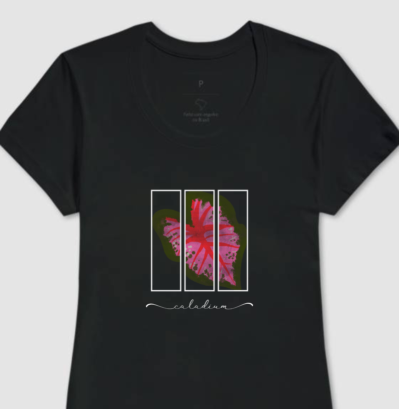 Caladium