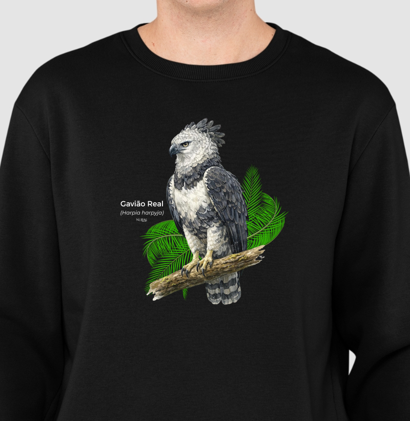 Gavião Real (Harpia harpyja)