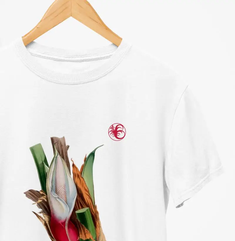 ANTHURIUM II