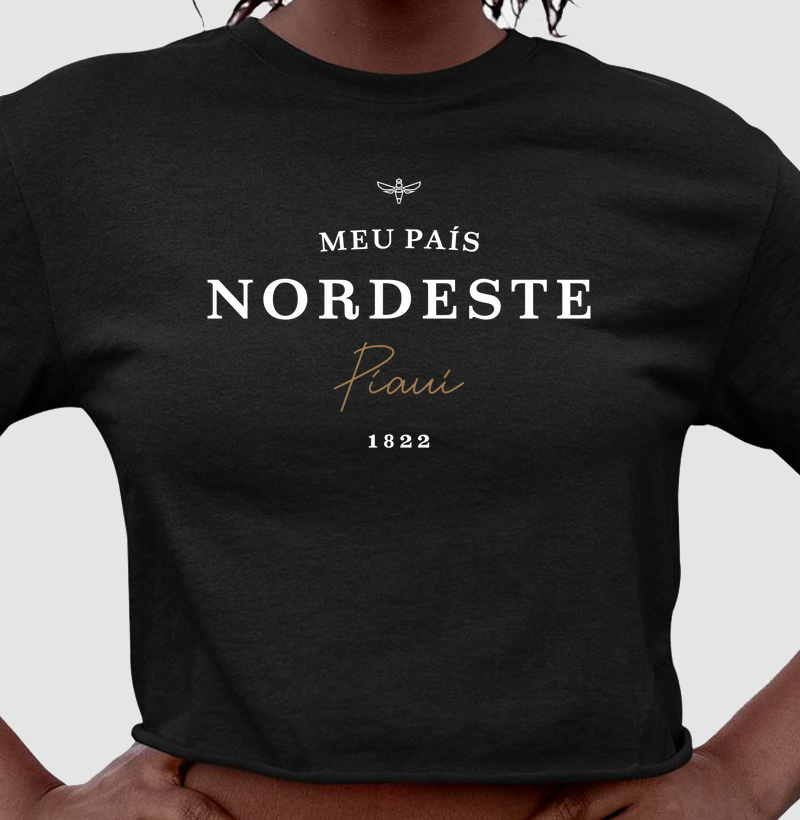 Meu País Nordeste Piauí 