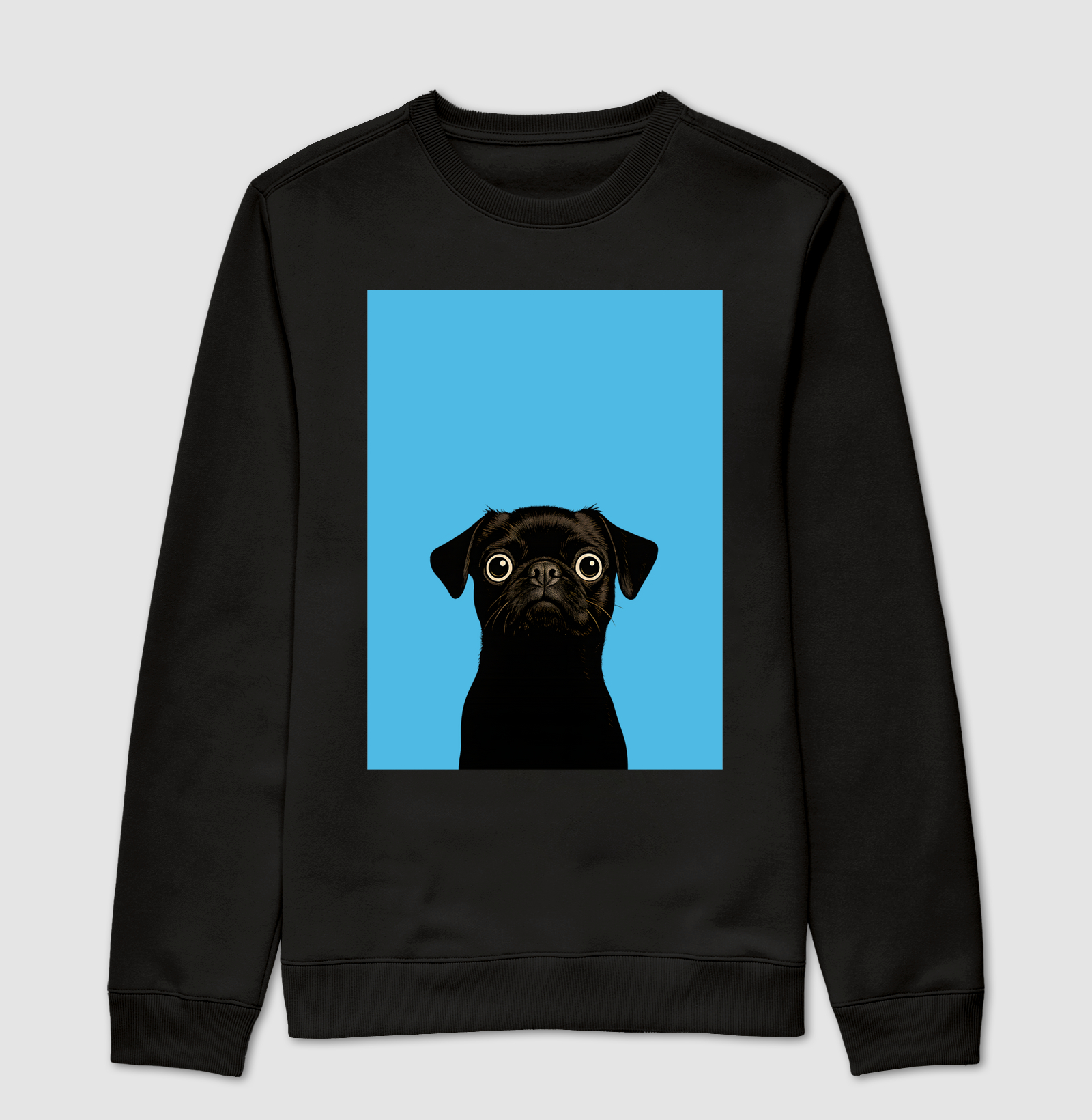 Pug em alerta