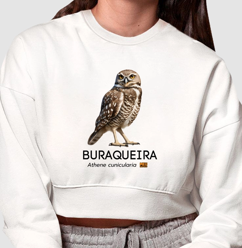 Coruja-buraqueira III