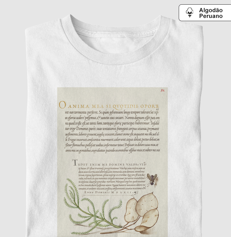 Lavender Cotton