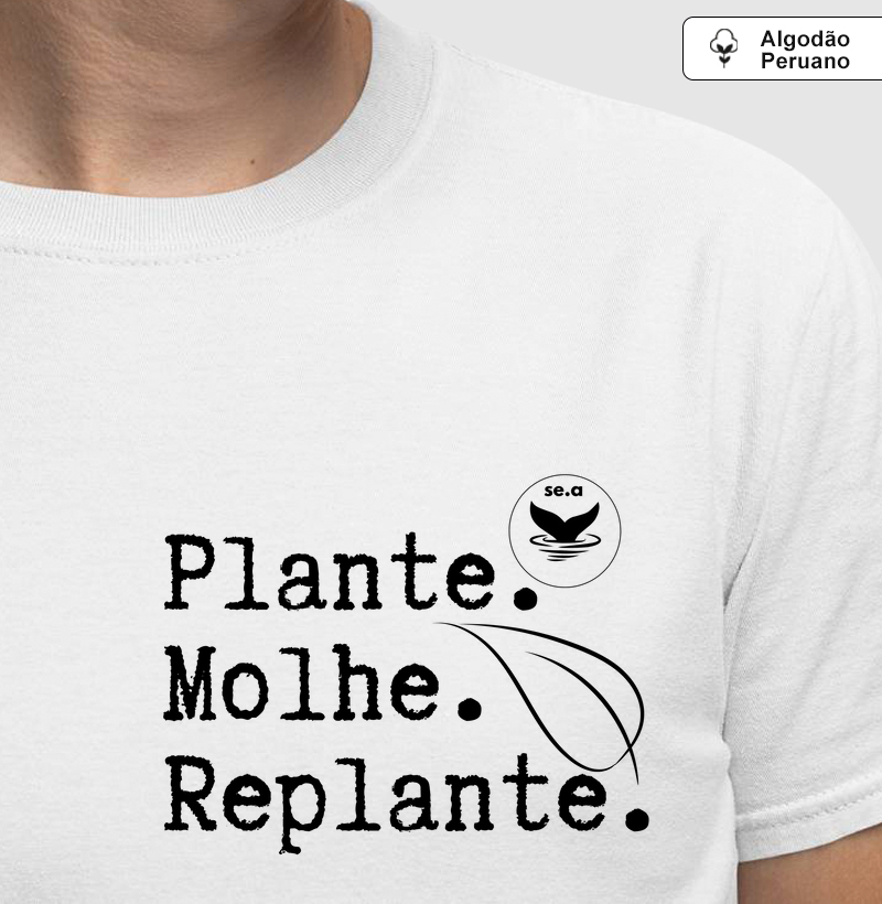 Plante molhe replante