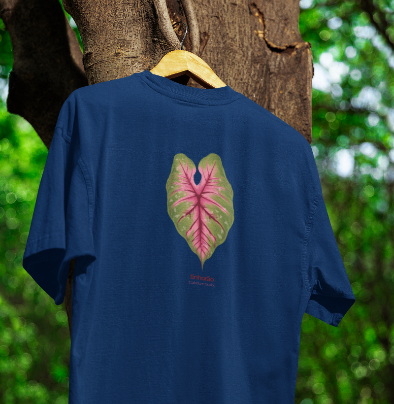 Caladium