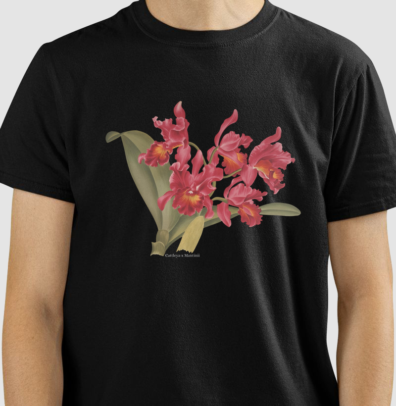 Camiseta (Tshirt) Cattleya x Mantinii
