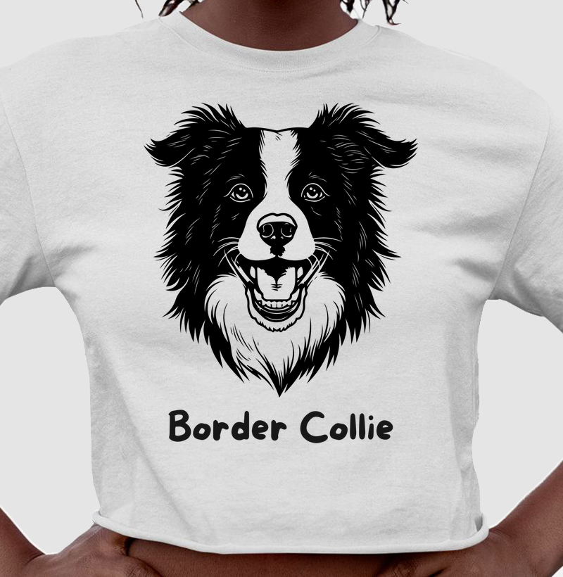 Border Collie mania