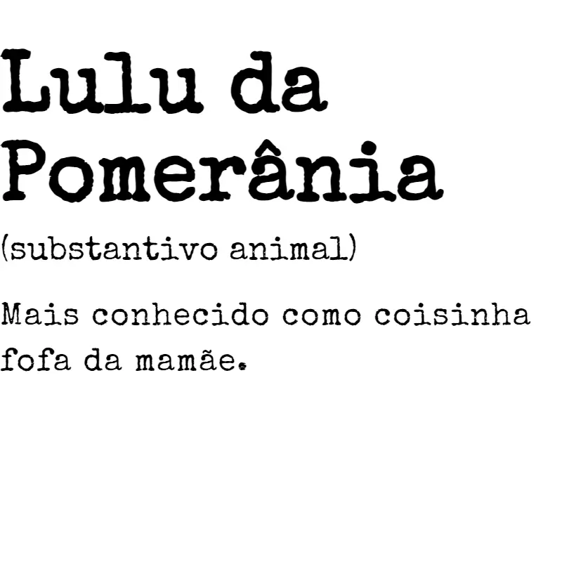 Lulu da Pomerânia s.a. 03