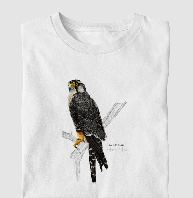 Aves do Brasil II - Falcão de Coleira