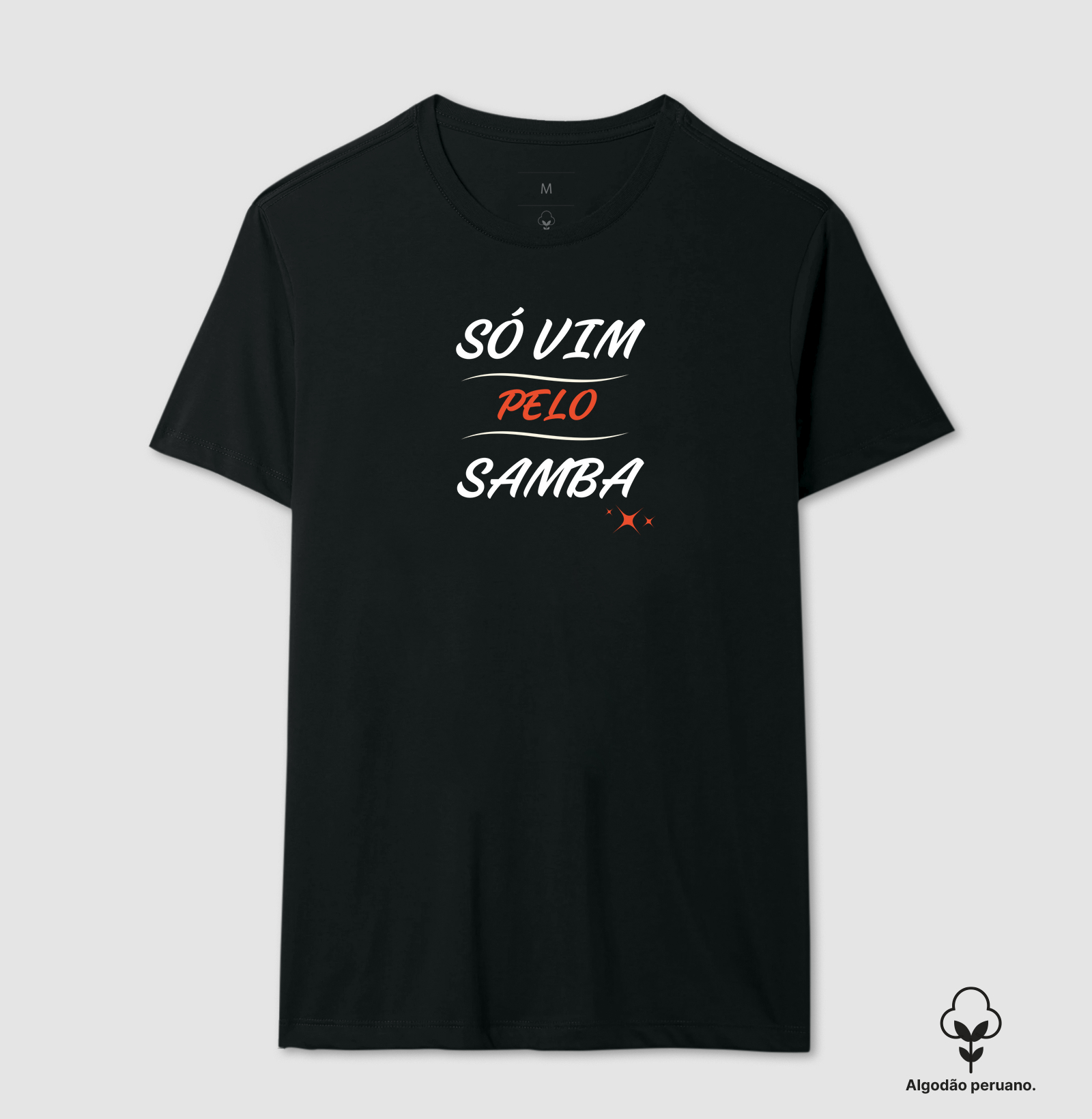 Só vim pelo samba