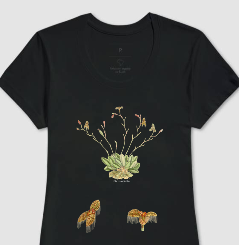 Camiseta Feminina Baby Long Stelis ornata