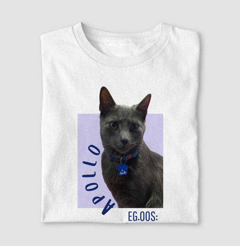 Meus Pets: Apollo