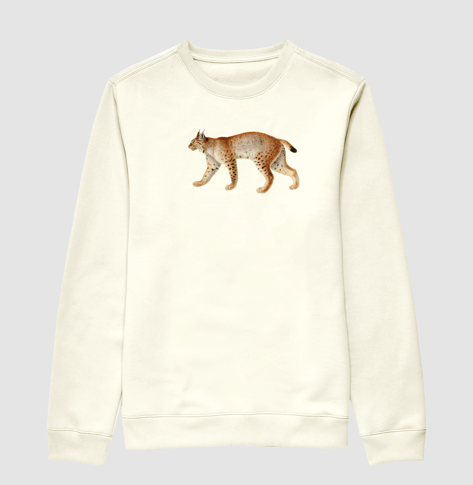 Lince