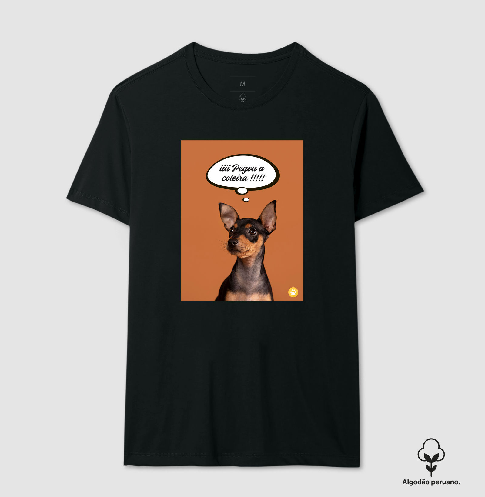 Camiseta Vou passear