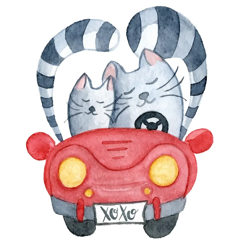Camiseta Cat Love in car
