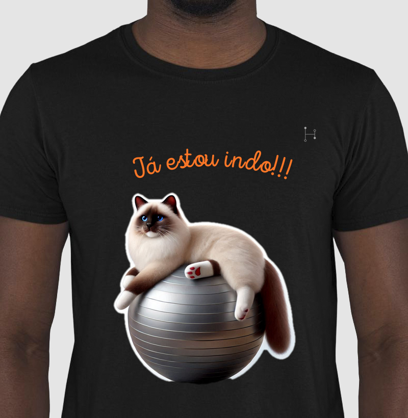 Gato - Ragdoll 