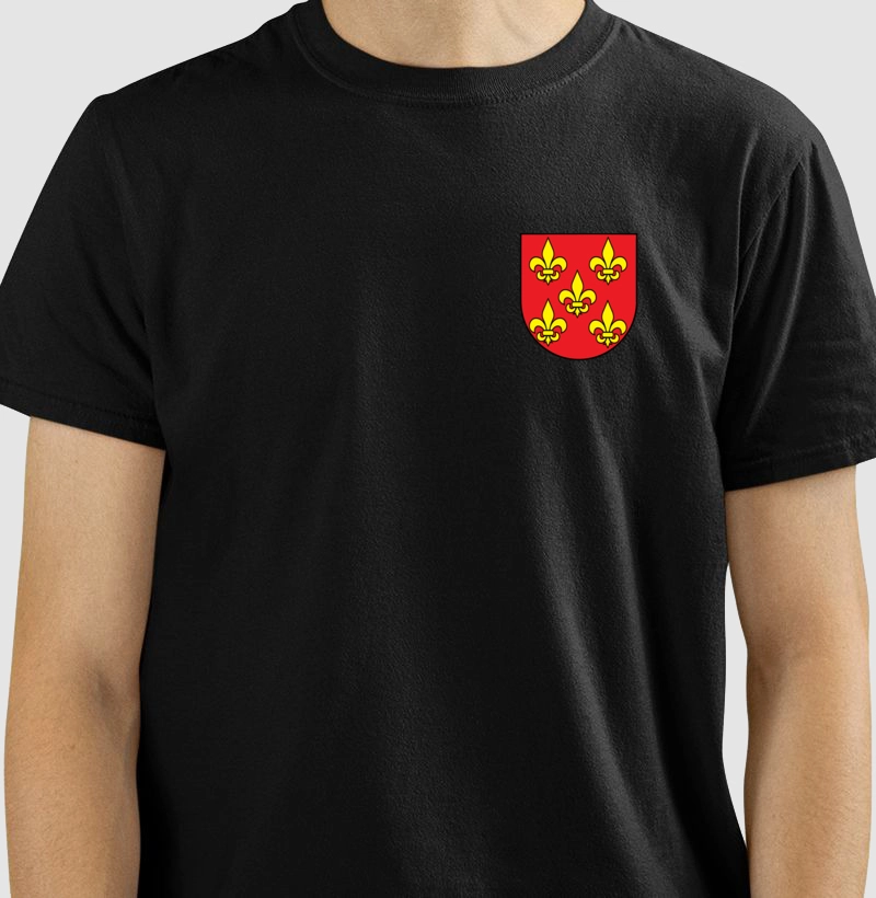 Brasão da Família Albuquerque Escudo