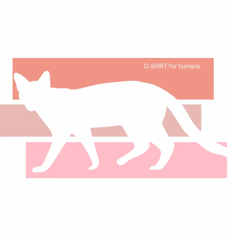 Fall - Cat in rose