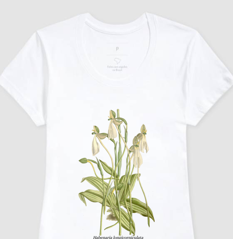 Baby Look Habenaria longicorniculata