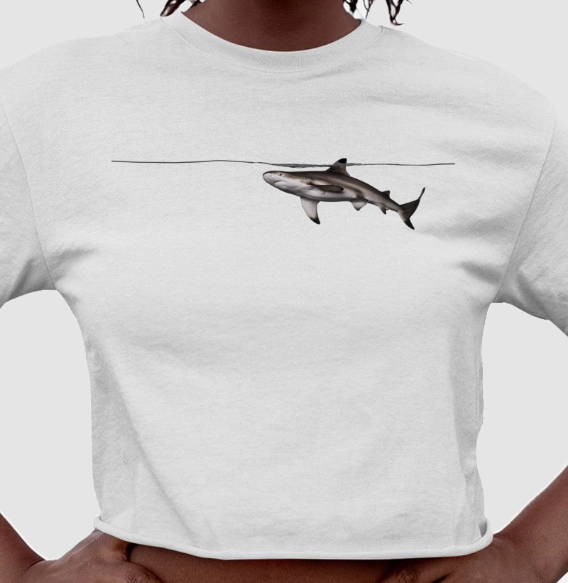 Shark Surface