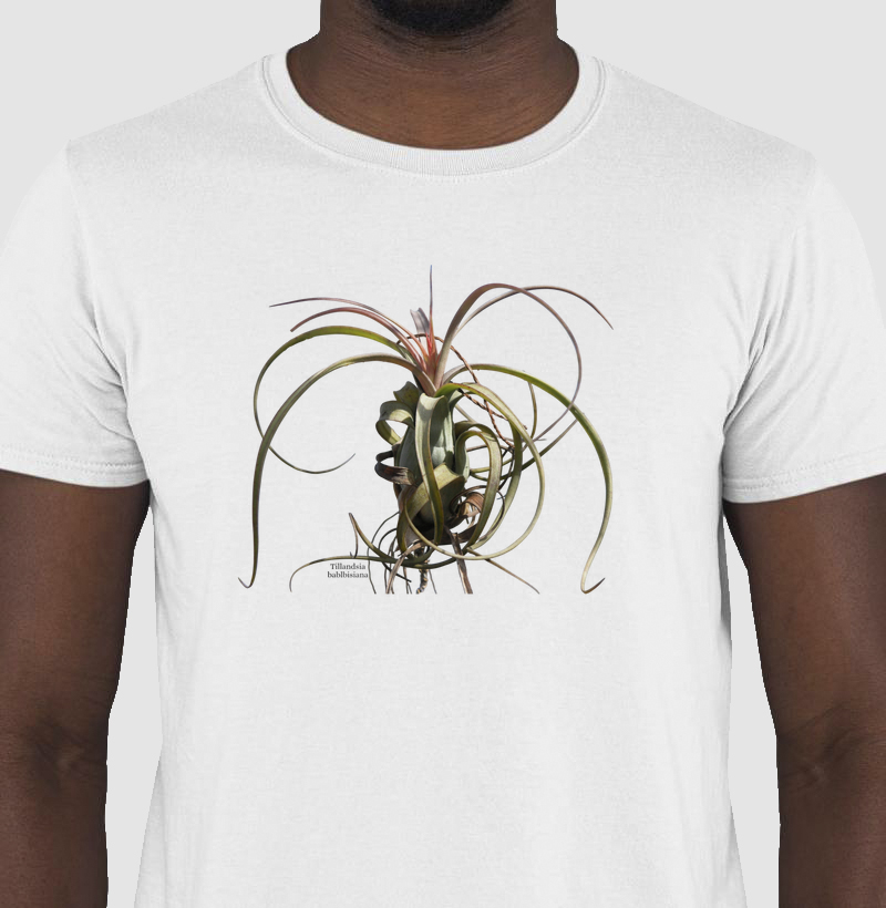Camiseta Tshirt Tillandsia balbisiana