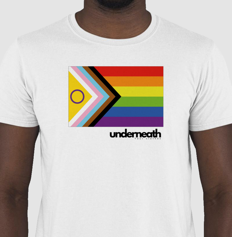 Camiseta  Bandeira do orgulho LGBTQIA+ ( Produtos com qualidade Reserva INK )