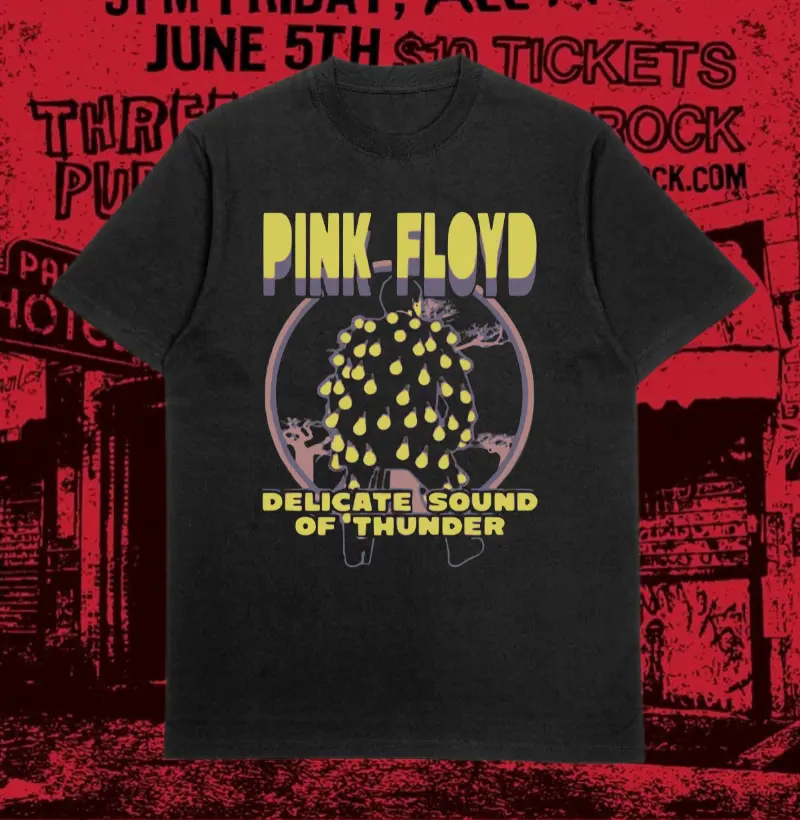 PINK FLOYD DSOT