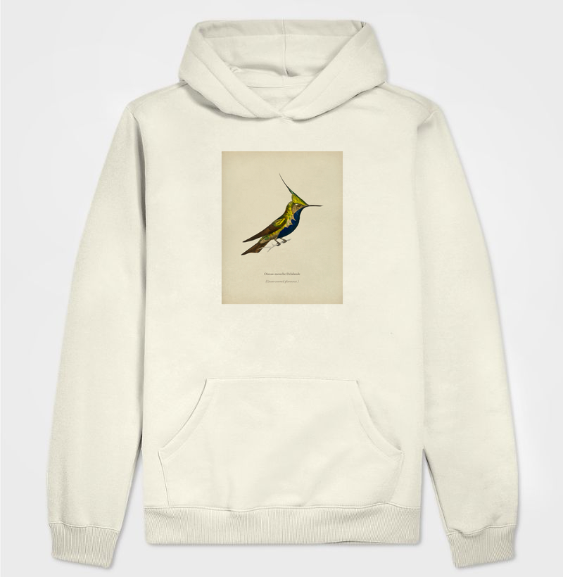 Beija-flor-de-topete-verde
