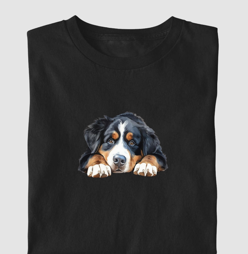 Bernese deitado