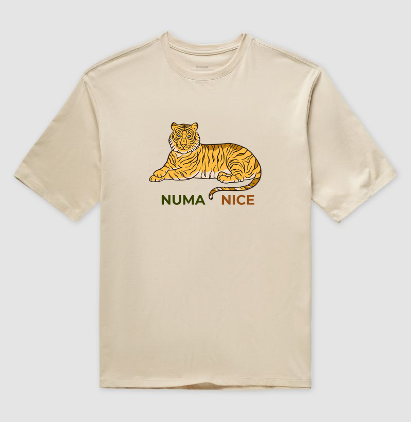 Numa Nice 