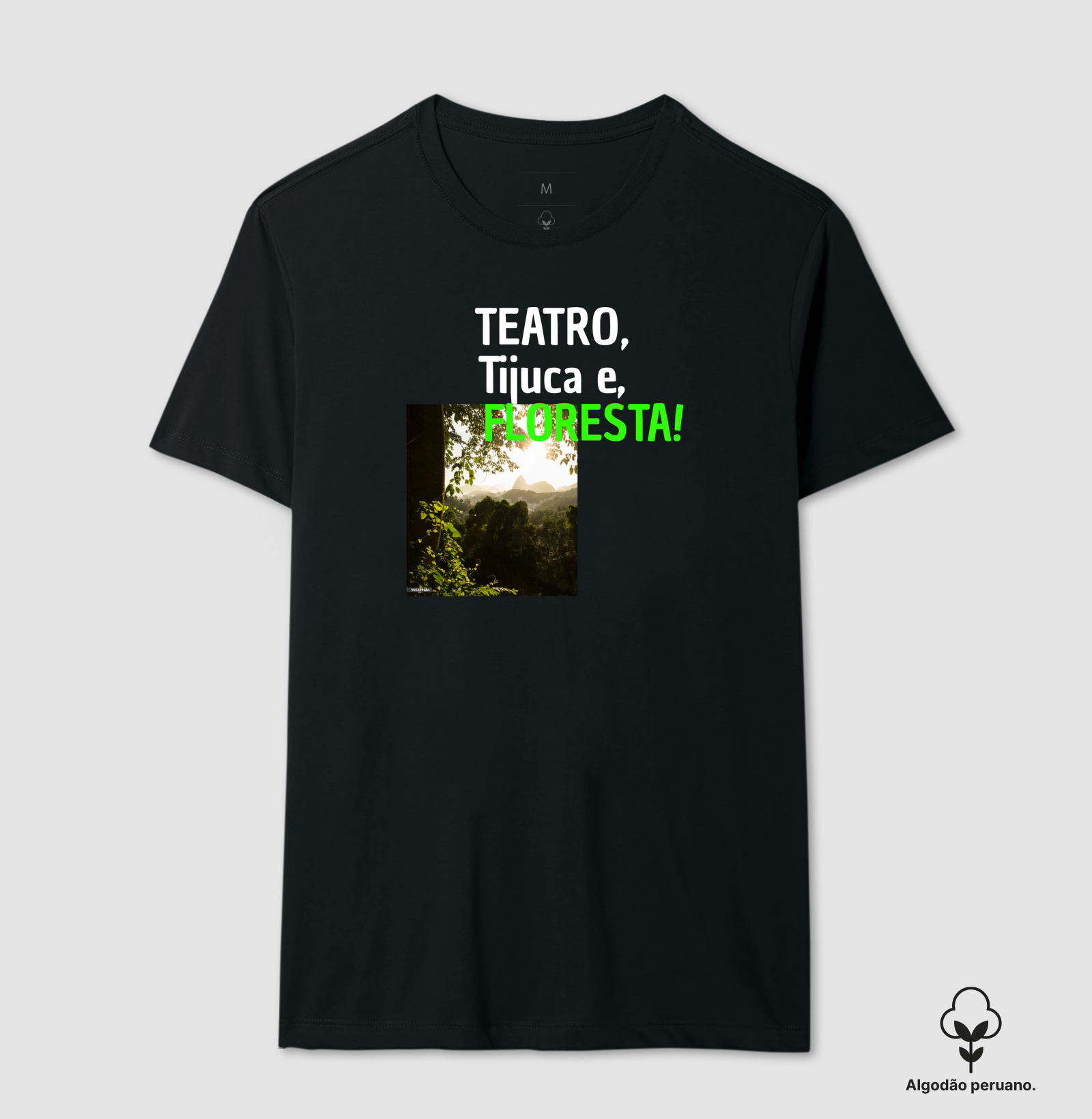 TEATRO, TIJUCA E FLORESTA !