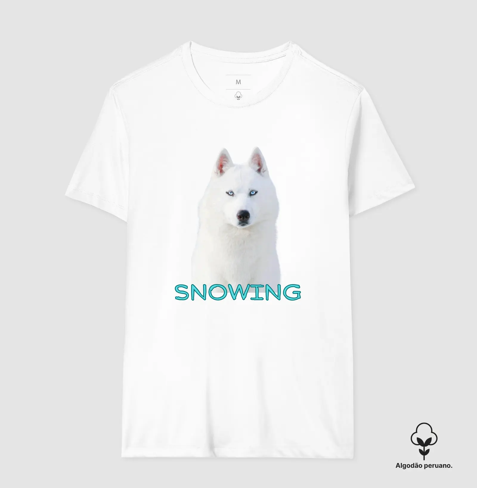 Snowing