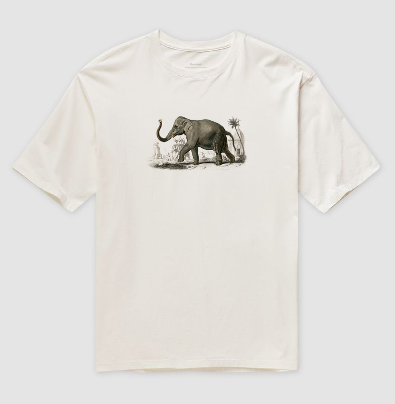Asian elephant
