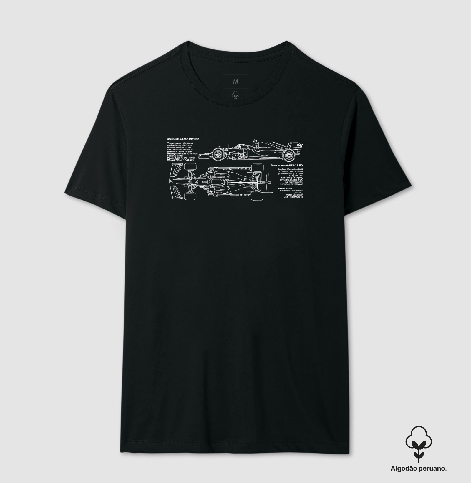 FORMULA 1 RACE CAR