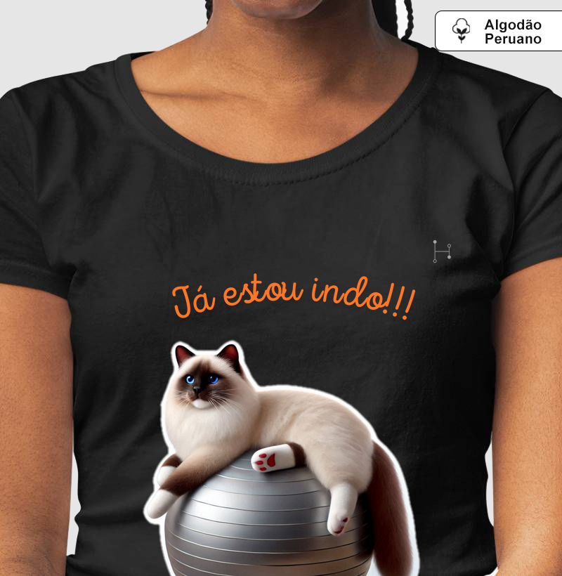 Gato - Ragdoll 