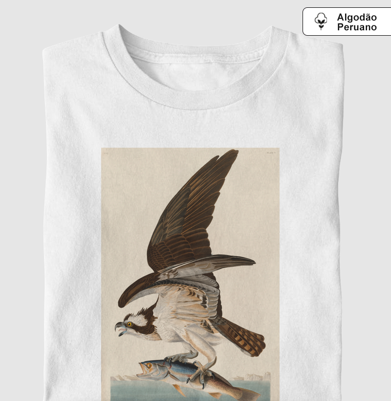 Fish Hawk