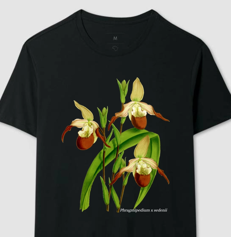 Camiseta Phragmipedium x sedenii t-shirt