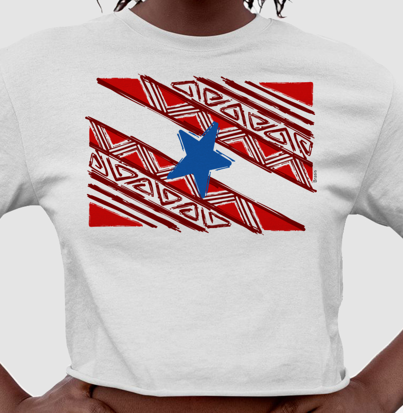 Bandeira do Pará Grafismo