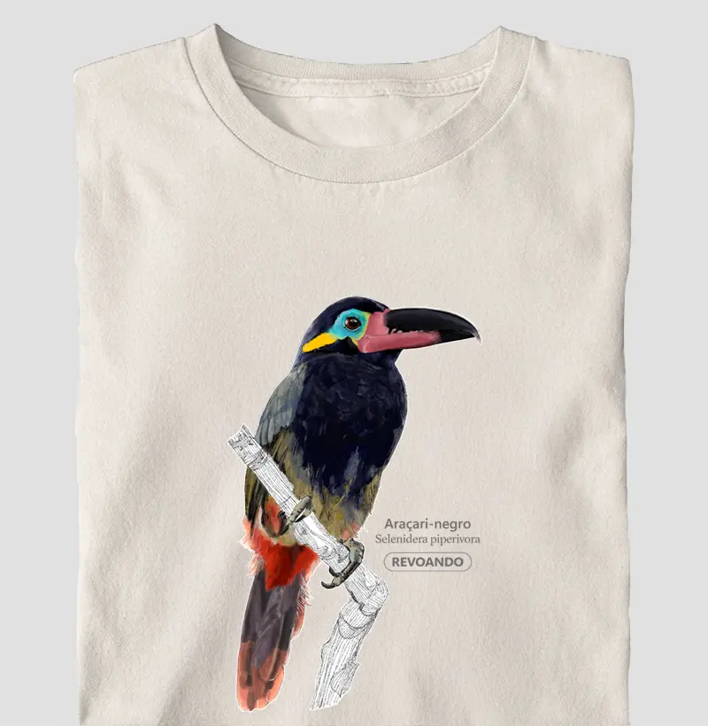 Aves do Brasil - Araçari-negro - Oversized
