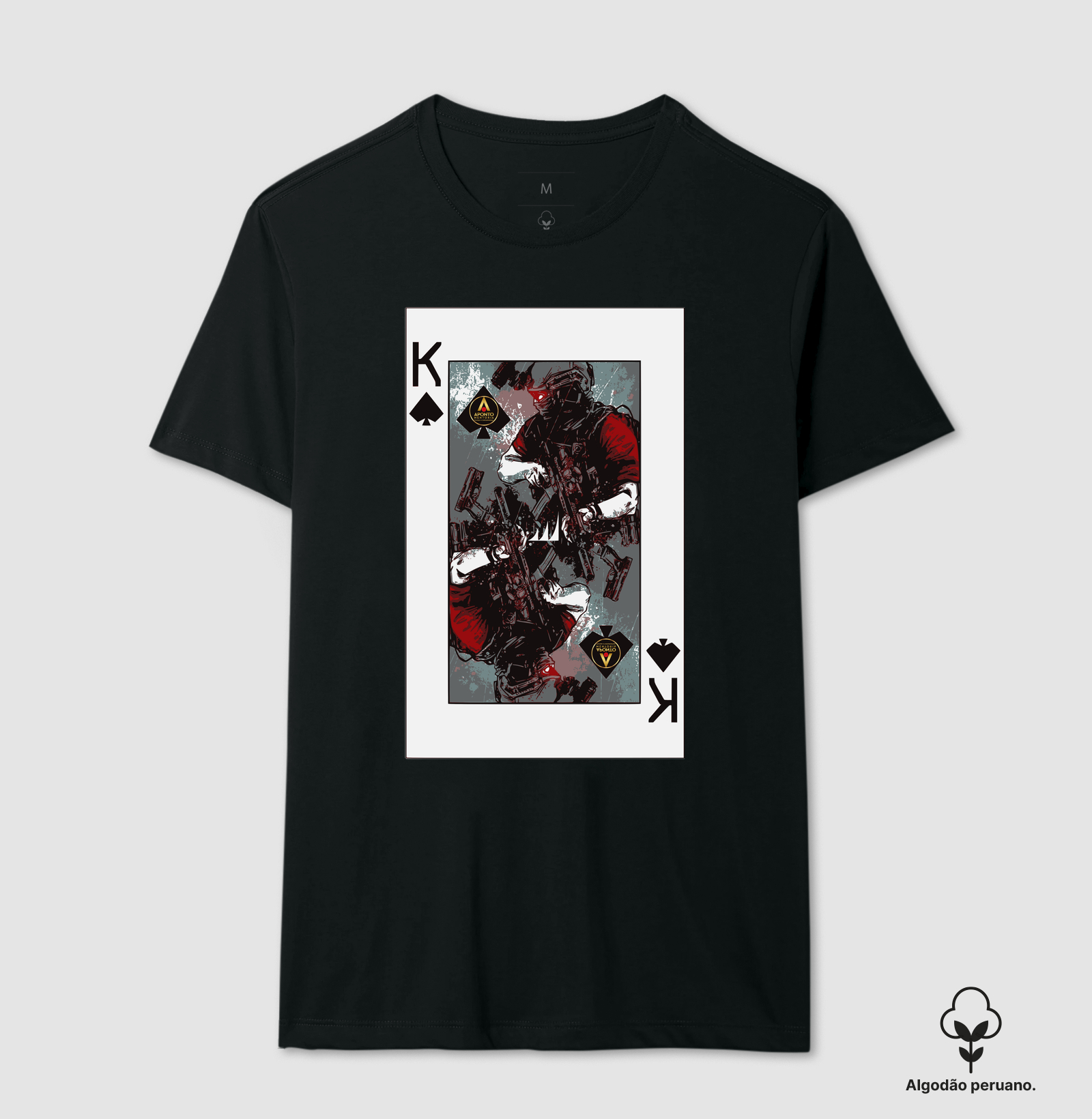 Rei PMC Aponto Mentoria