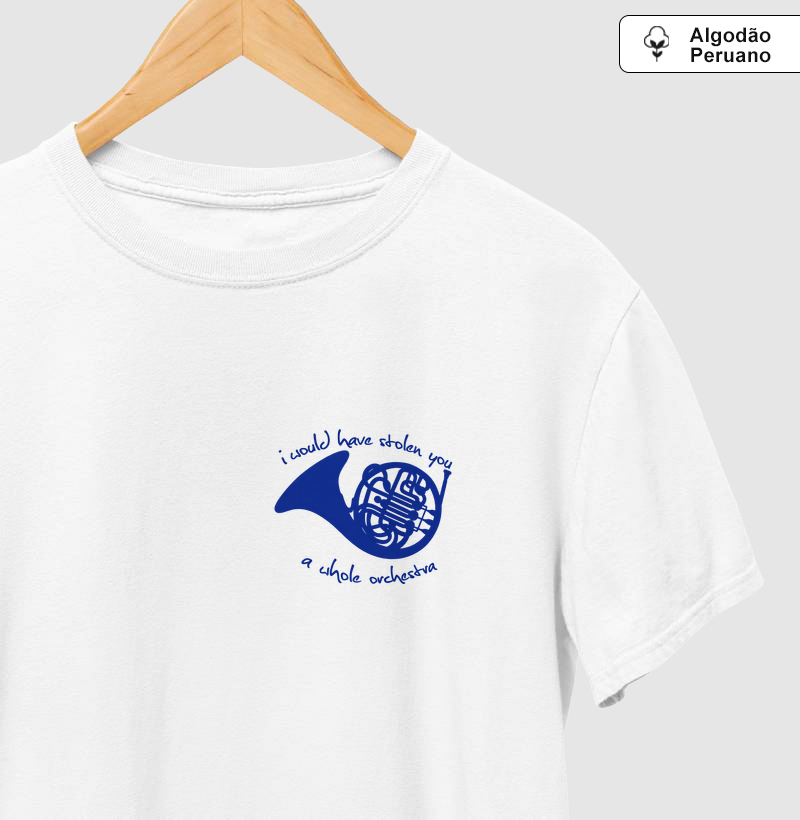 I would have stolen a whole orchestra for you - How i met your