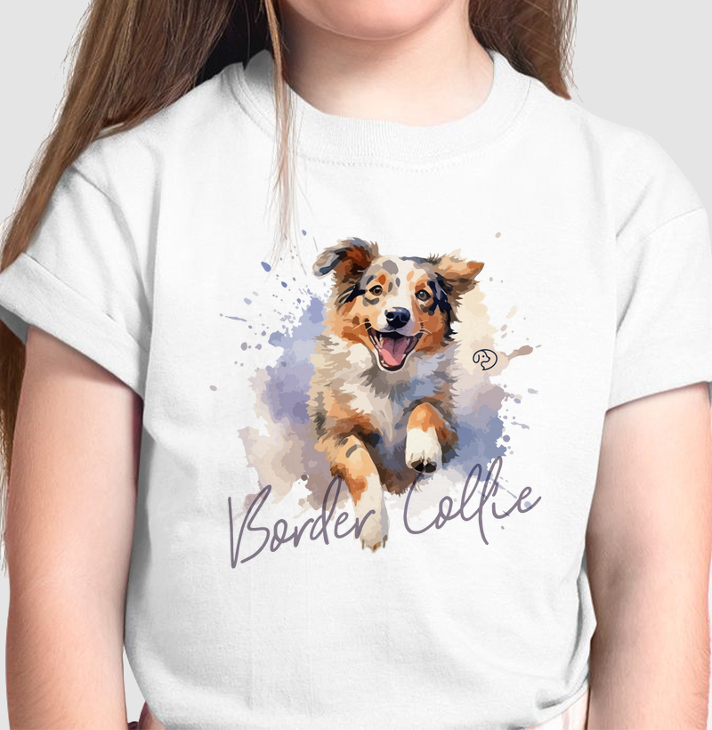 Border Colie Splash