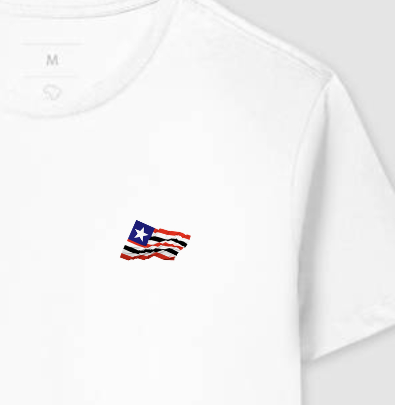 Bandeira do Maranhão