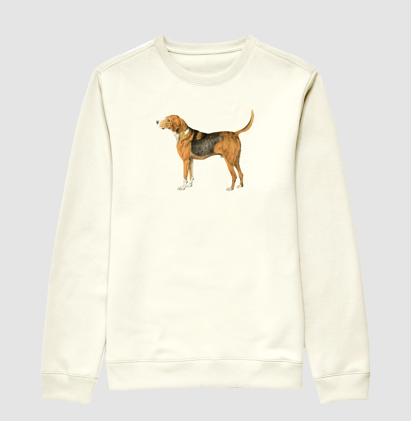 Vintage dog illustration